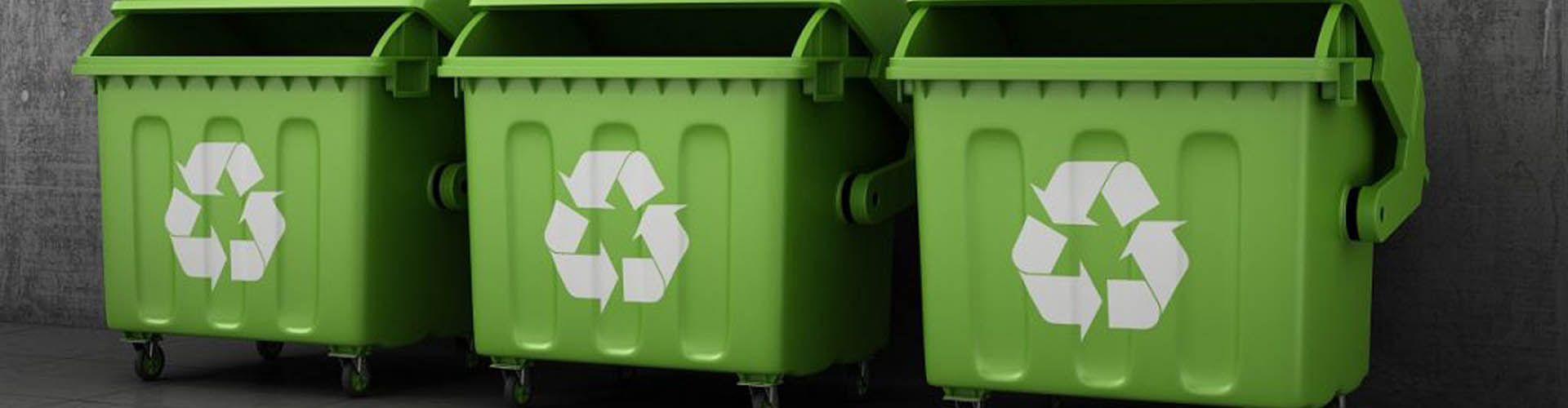 RECYCLING & WASTE MANAGEMENT SERVICES